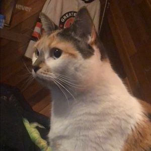 Meet your Posher, Grace